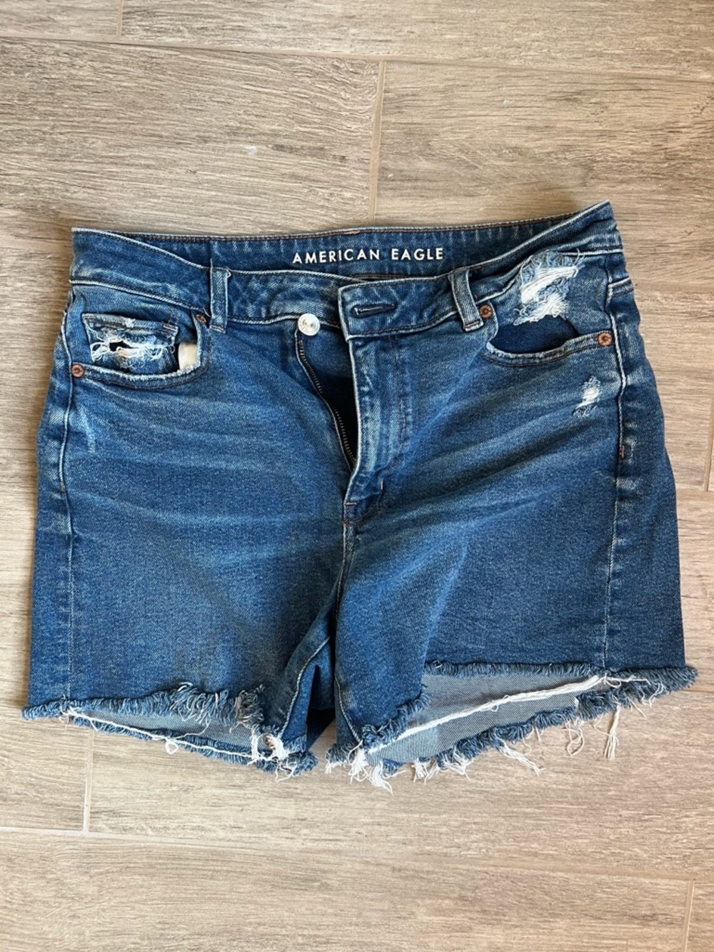 American Eagle Outfitters Light Blue Denim Shorts